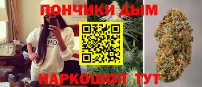 индика Заводоуковск