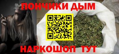 индика Заводоуковск