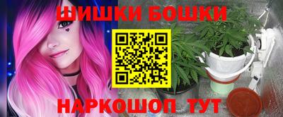 индика Заводоуковск