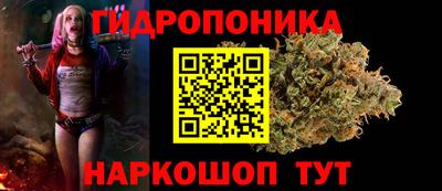 гидра Заволжье