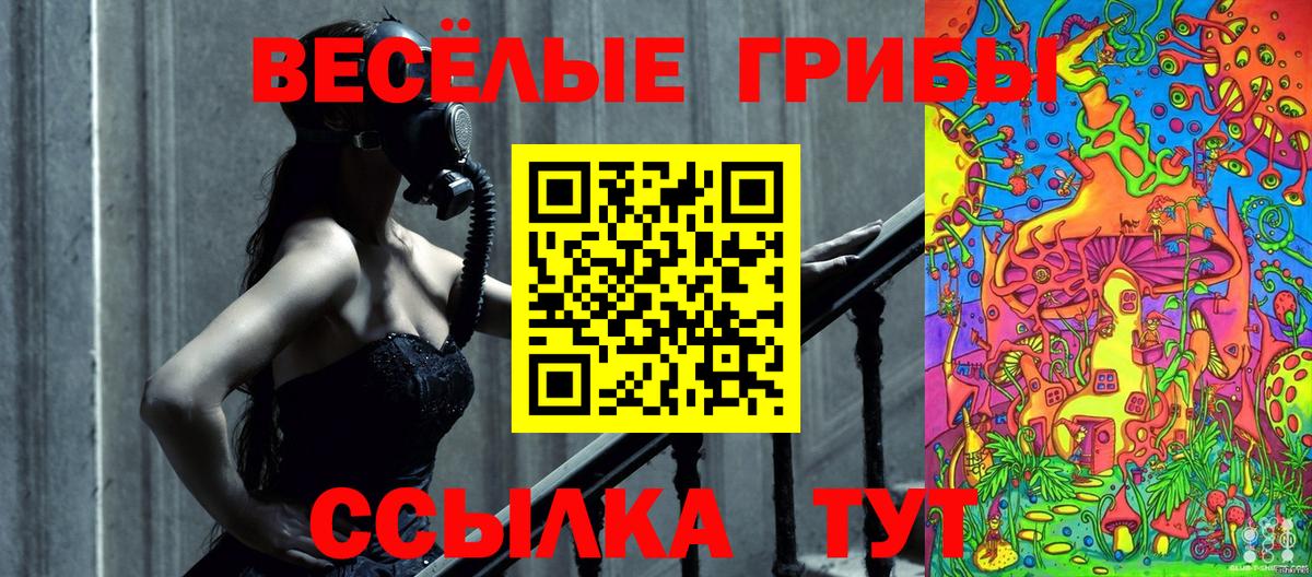 Галлюциногенные грибы MAGIC MUSHROOMS Можга
