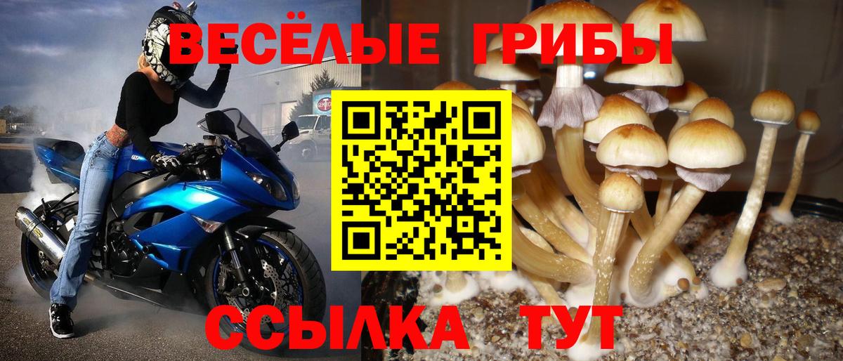 Псилоцибиновые грибы GOLDEN TEACHER  Вход с VPN  Можга  Галлюциногенные грибы ЛСД 