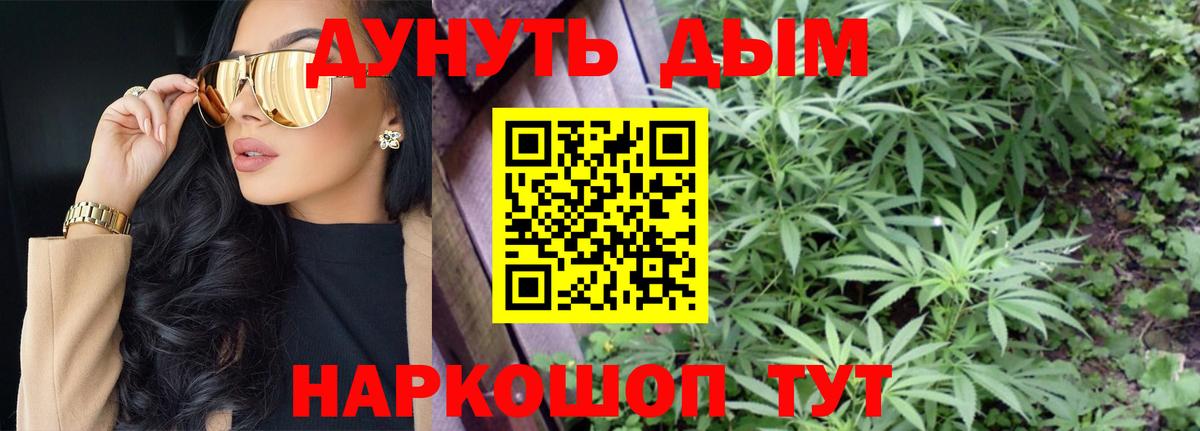 Каннабис гибрид Можга
